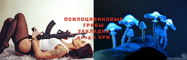 мяу мяу мука Покачи