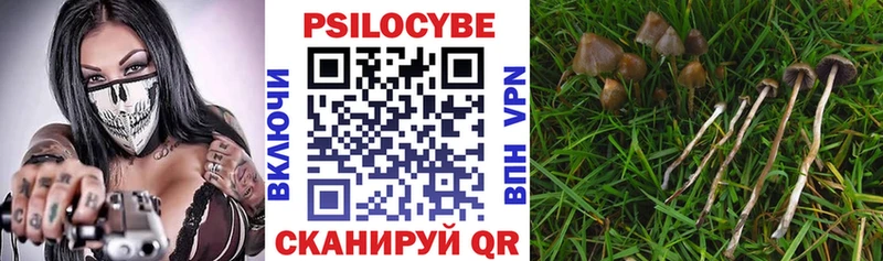 дарк нет официальный сайт  Жуковка  Галлюциногенные грибы Psilocybe 